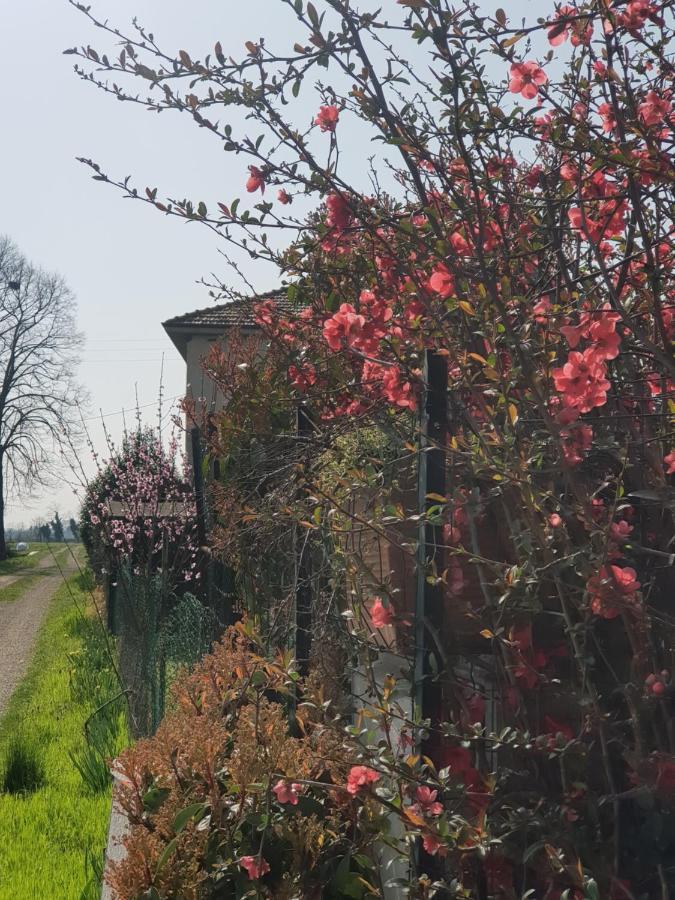 Az.Agr.Cascina Moretta Momo Екстериор снимка