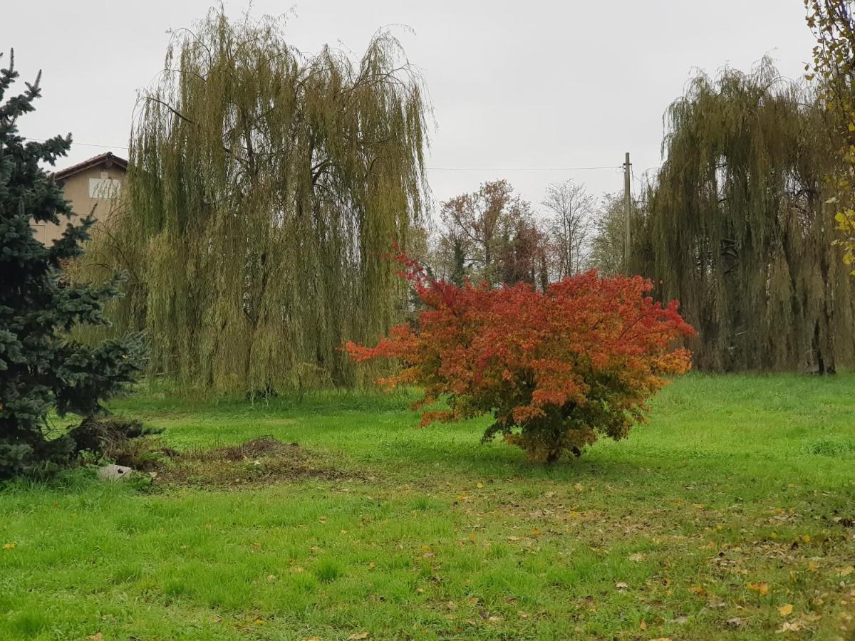Az.Agr.Cascina Moretta Momo Екстериор снимка