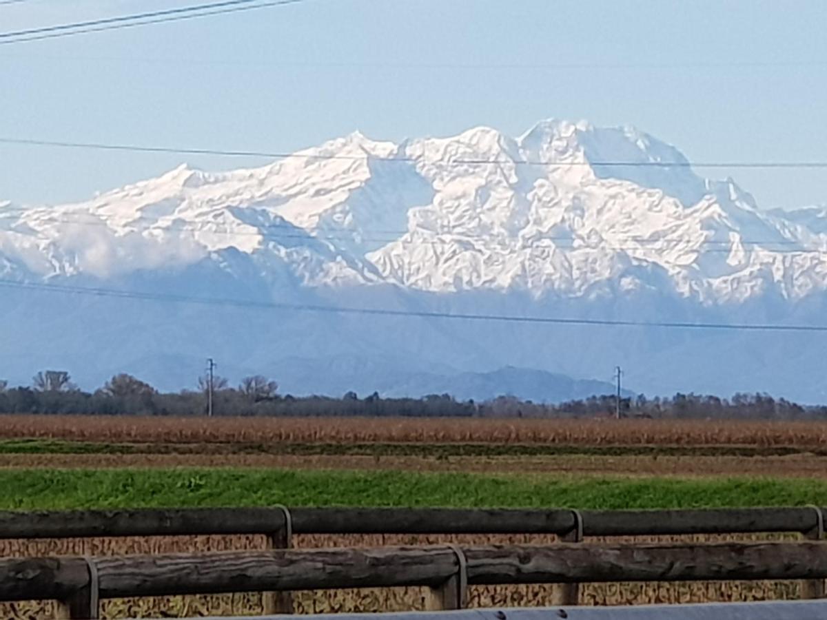 Az.Agr.Cascina Moretta Momo Екстериор снимка