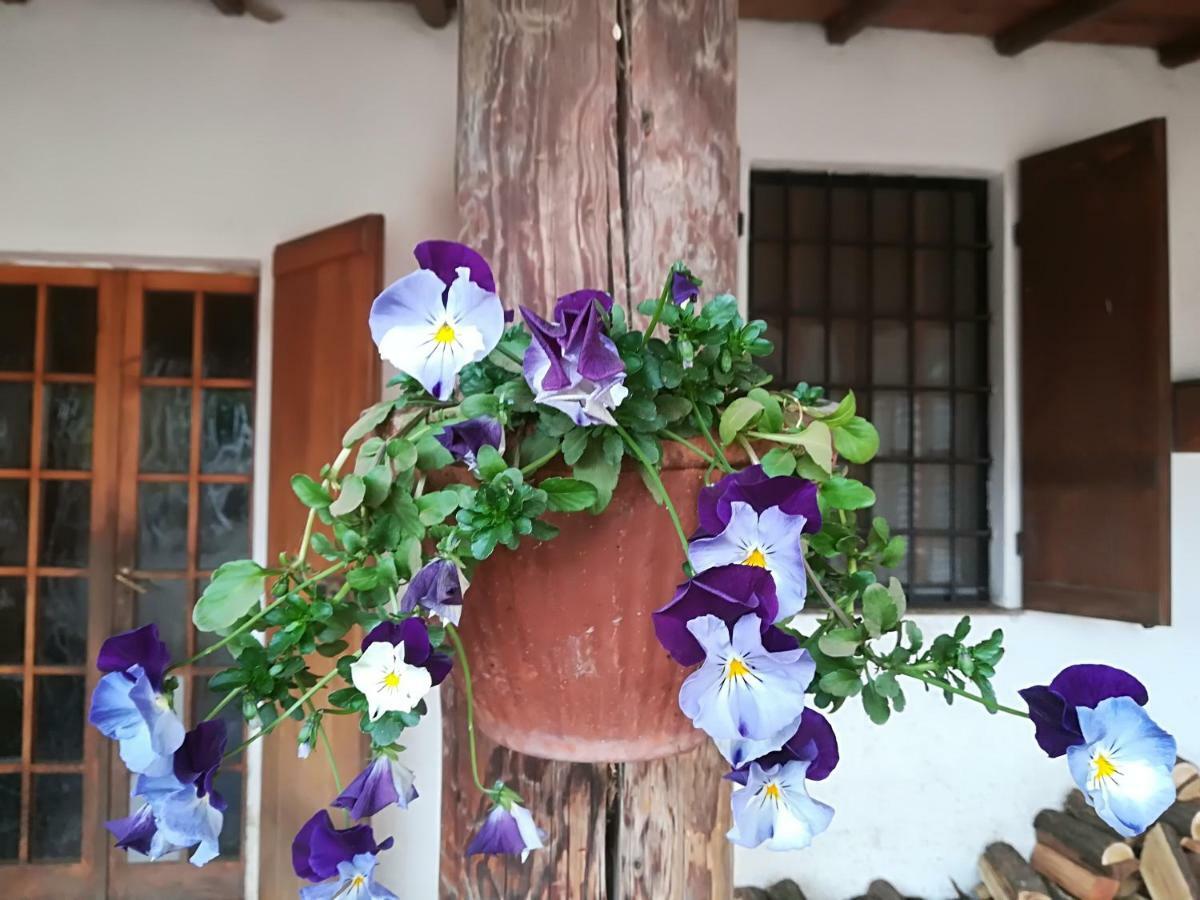 Az.Agr.Cascina Moretta Momo Екстериор снимка