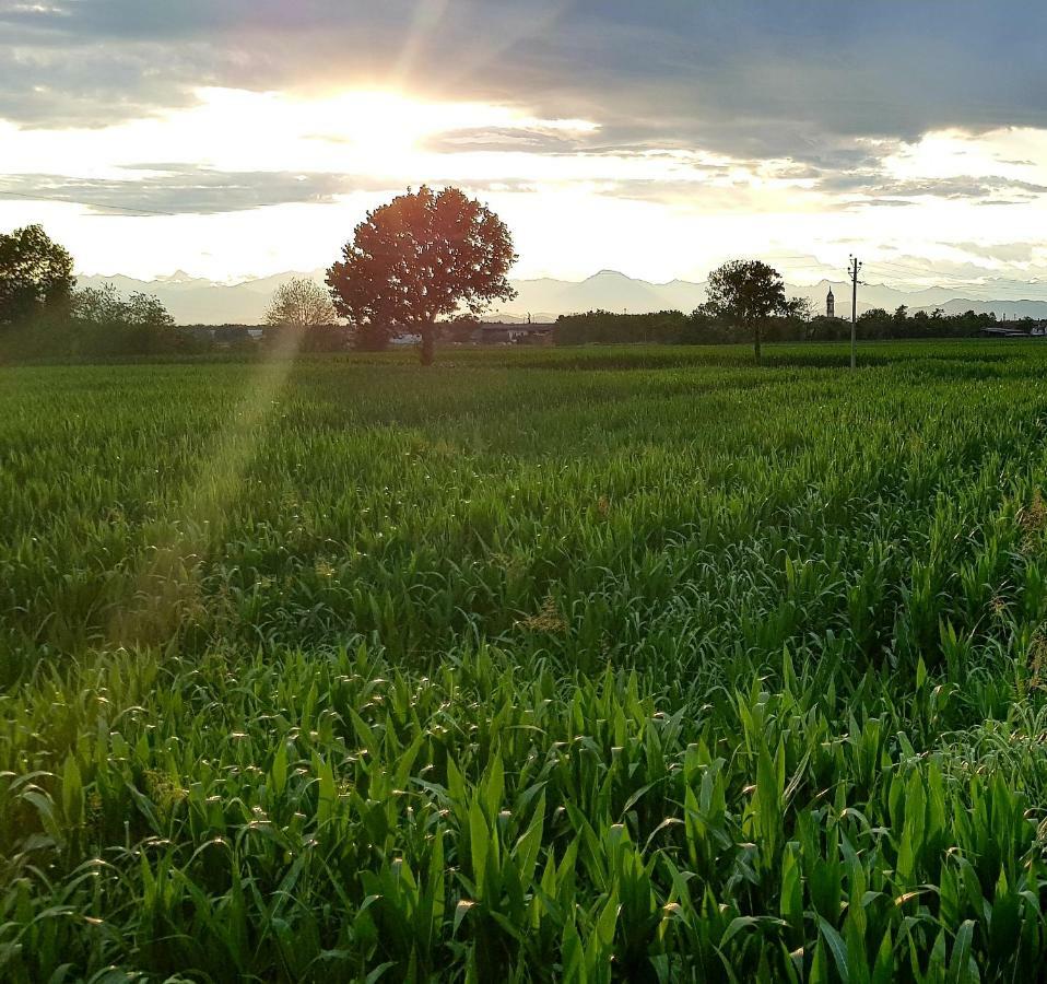 Az.Agr.Cascina Moretta Momo Екстериор снимка