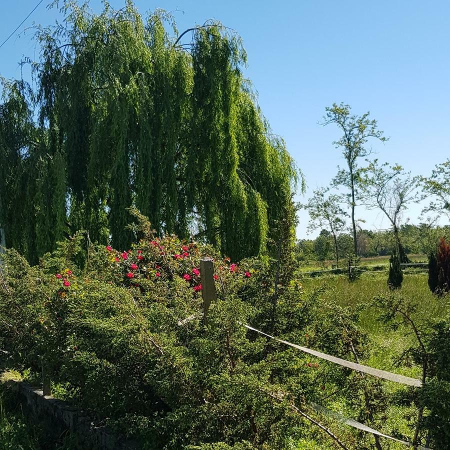 Az.Agr.Cascina Moretta Momo Екстериор снимка