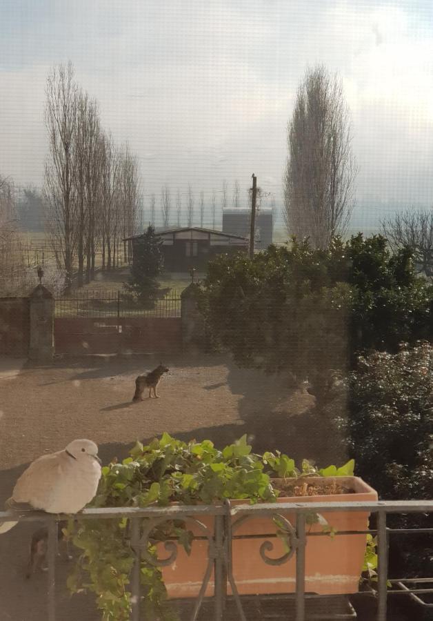 Az.Agr.Cascina Moretta Momo Екстериор снимка